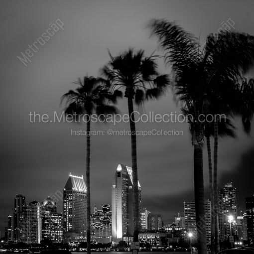 The San Diego Skyline with Palm Trees -- San Diego Black and White Wall Art