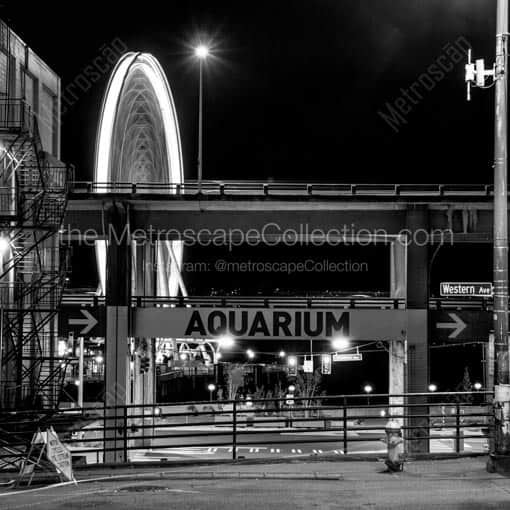 The Seattle Ferris Wheel at Night -- Seattle Black and White Wall Art