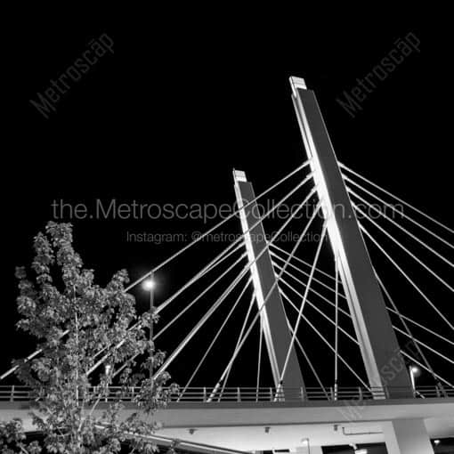 The Sixth Avenue Bridge in Milwaukee -- Milwaukee Black and White Wall Art