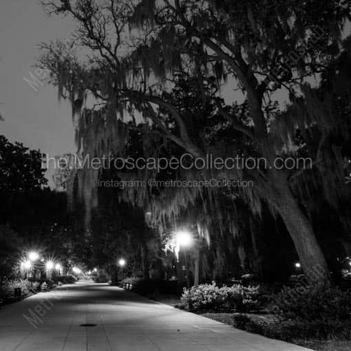 Spanish Moss Drapes Oak Trees in Forsyth Park -- Savannah Black and White Wall Art