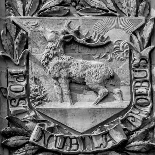 The Stag Relief on the Soldiers and Sailors Memorial -- Hartford Black and White Wall Art