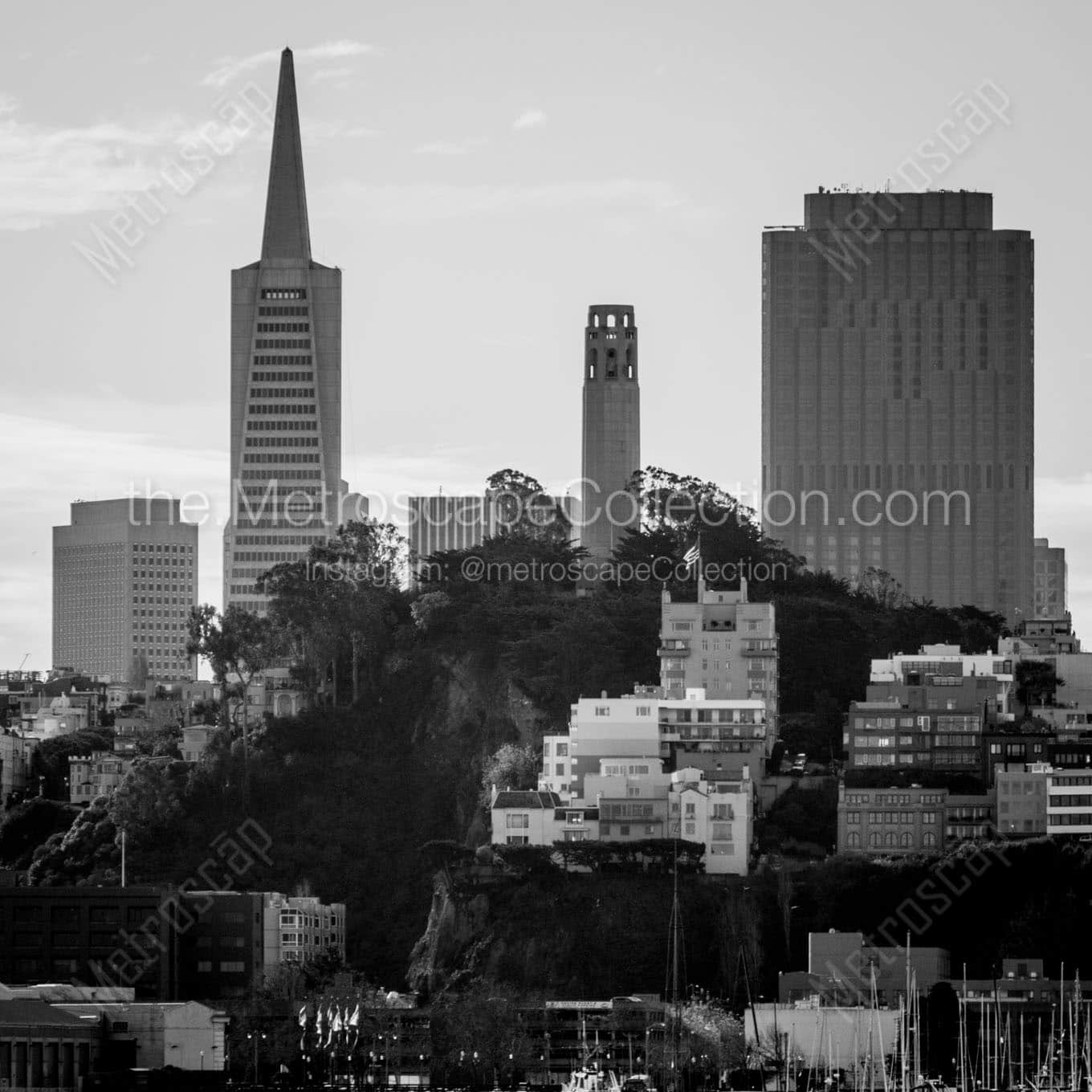 Telegraph Hill in Downtown San Francisco Wall Art square crop