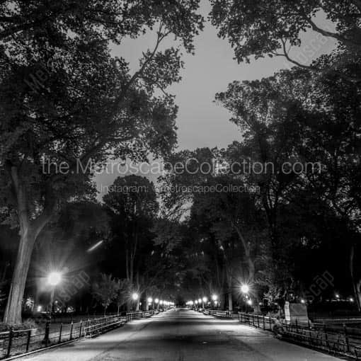 The Mall in Central Park -- New York City Black and White Wall Art