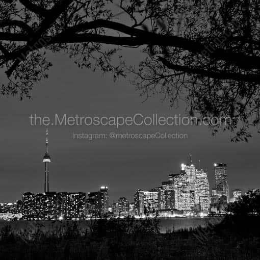 The Toronto Skyline at Night -- Toronto Black and White Wall Art