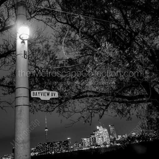 The Toronto Skyline at Night -- Toronto Black and White Wall Art