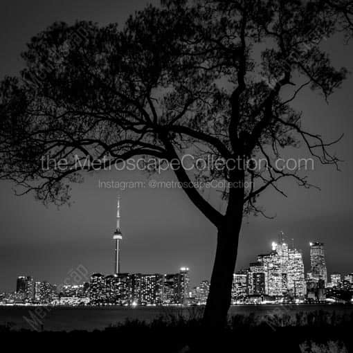 The Toronto Skyline from Wards Island -- Toronto Black and White Wall Art
