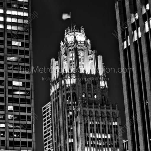 Tribune Tower from Columbus Drive -- Chicago Black and White Wall Art