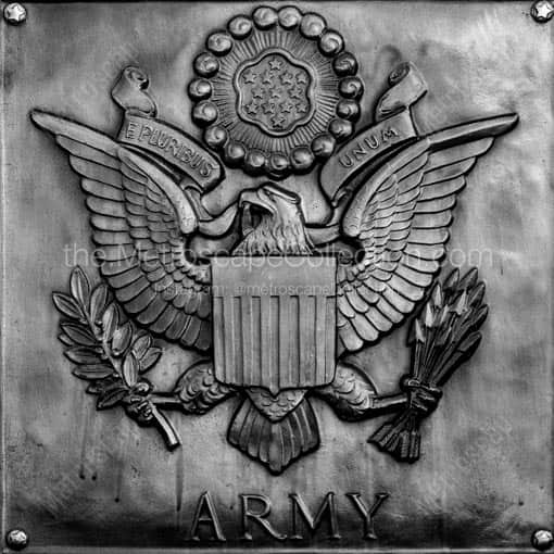 A US Army Plaque Relief -- Washington DC Black and White Wall Art