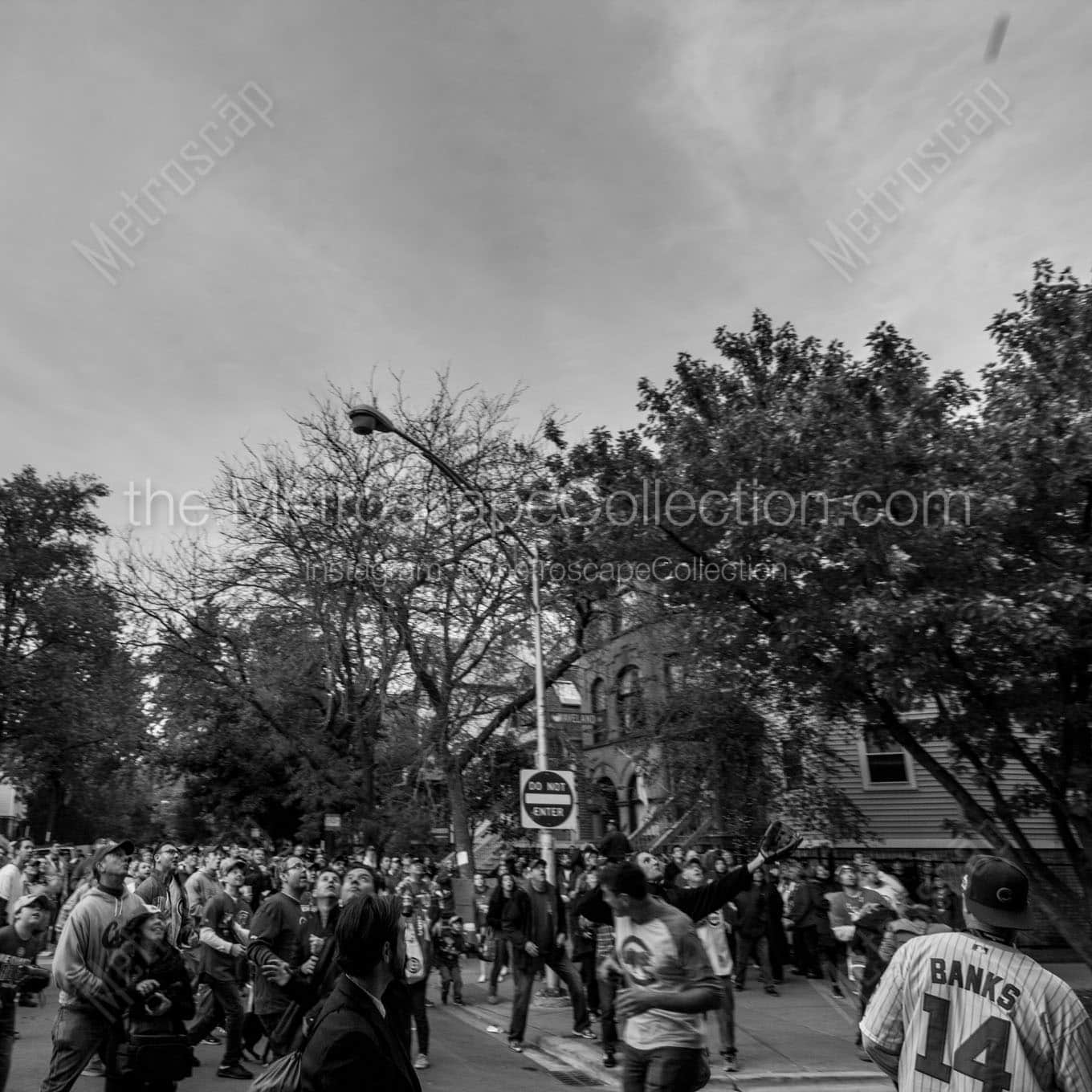 The Waveland Avenue Ballhawks during 2016 Game 3 World Series Batting Practice Wall Art square crop