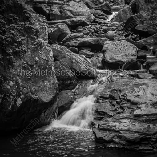 Wolf Creek Falls -- Charleston WV Black and White Wall Art