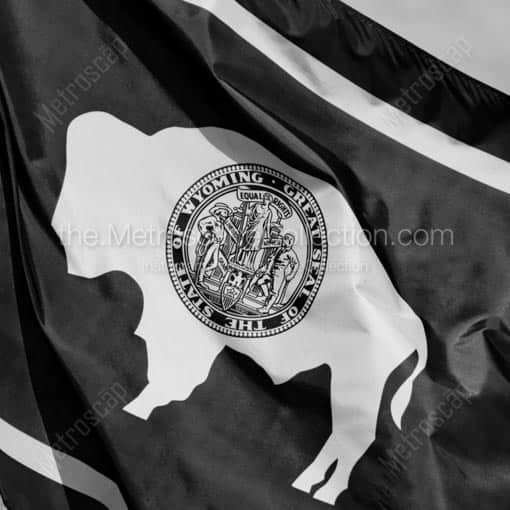 Wyoming Flag -- Cheyenne Black and White Wall Art